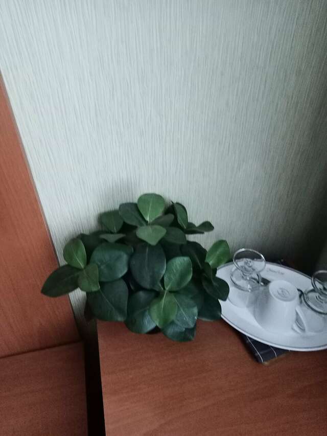 Гостиница Экватор Самара-110